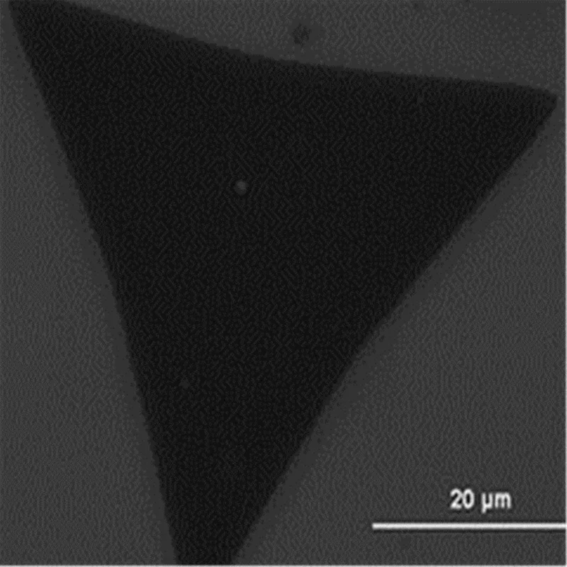 Single Layer MoS2 | Other Tool Parts