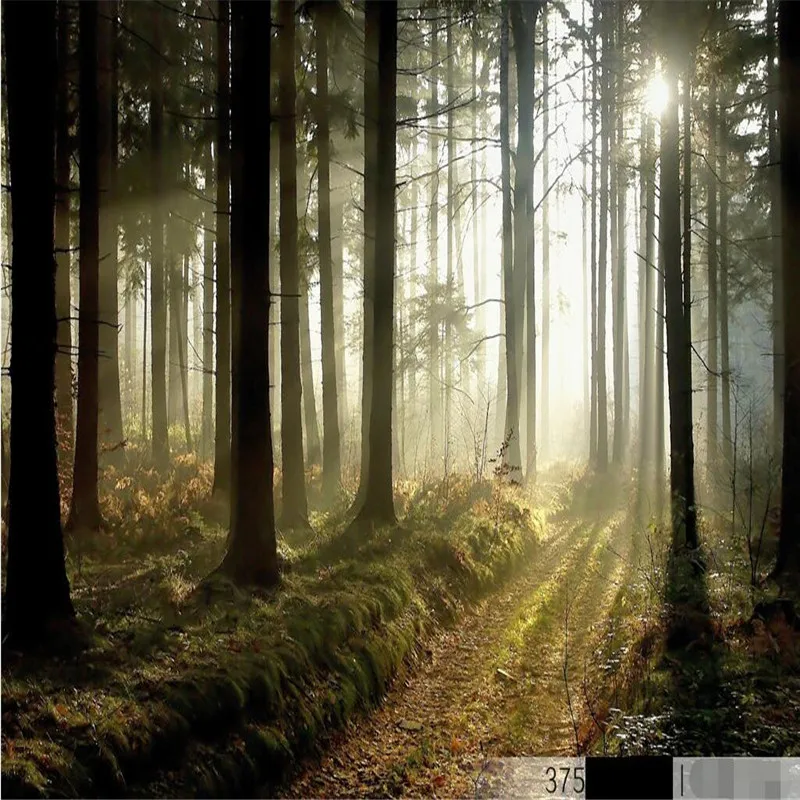 Обои beibehang большие с естественным утренним солнечным светом 3d - купить по