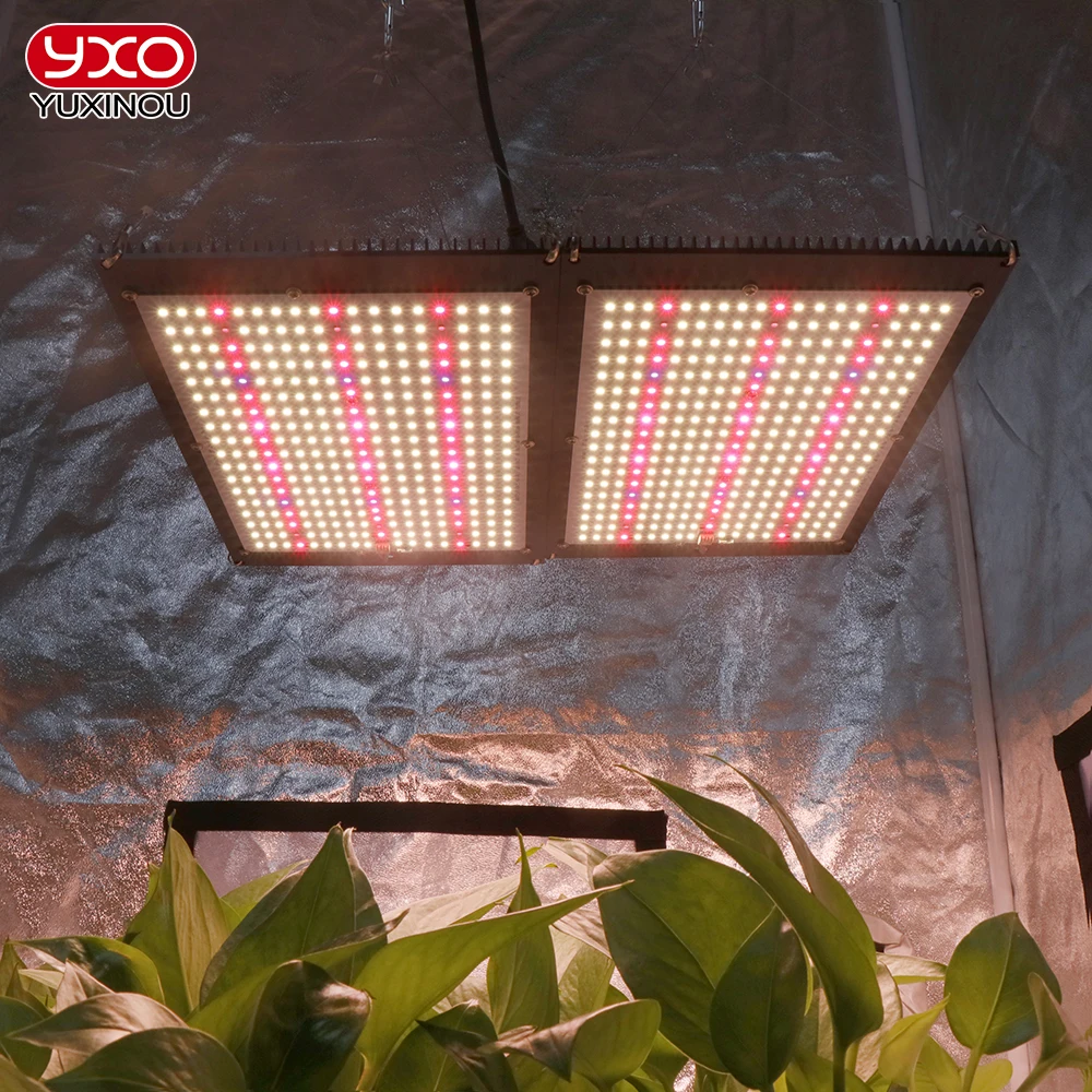 Samsumg Lm301h EVO Quantum 120W 240W LED Grow Light Full Spectrum Phyto Lamp for For Indoor Greenhouse Plants Flower Seedling - купить по