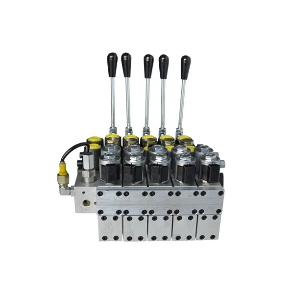 Высококачественный клапан Sectiom DCV100-6OT ELE &amp HYD