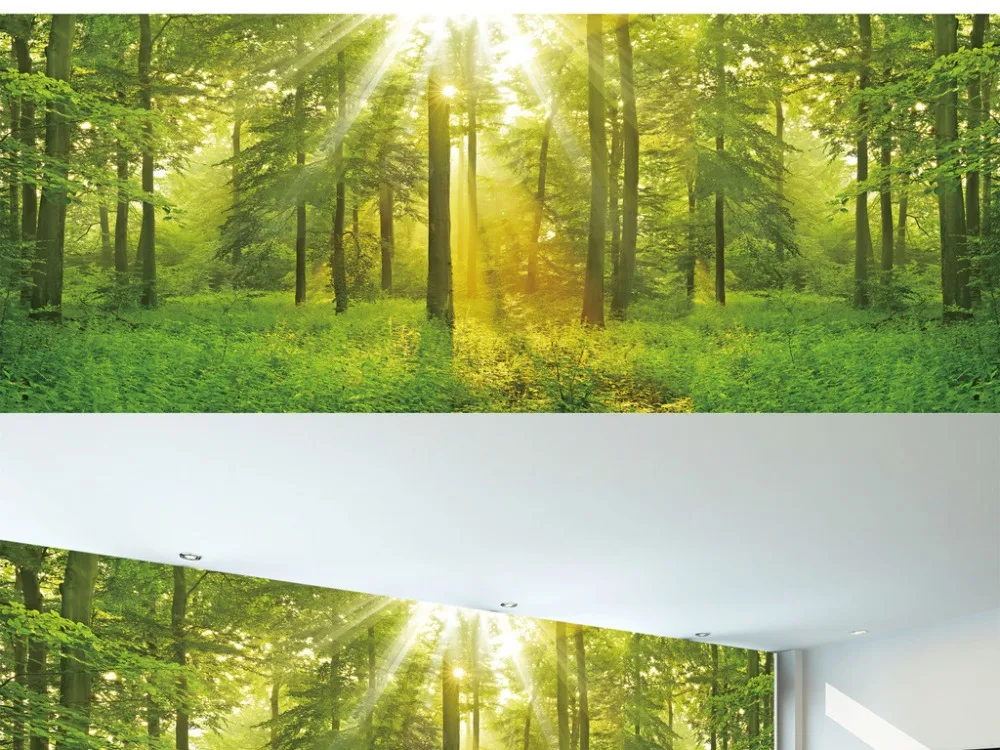 Настенные обои на заказ пасторальный пейзаж фрески HD лес полная сцена настенная