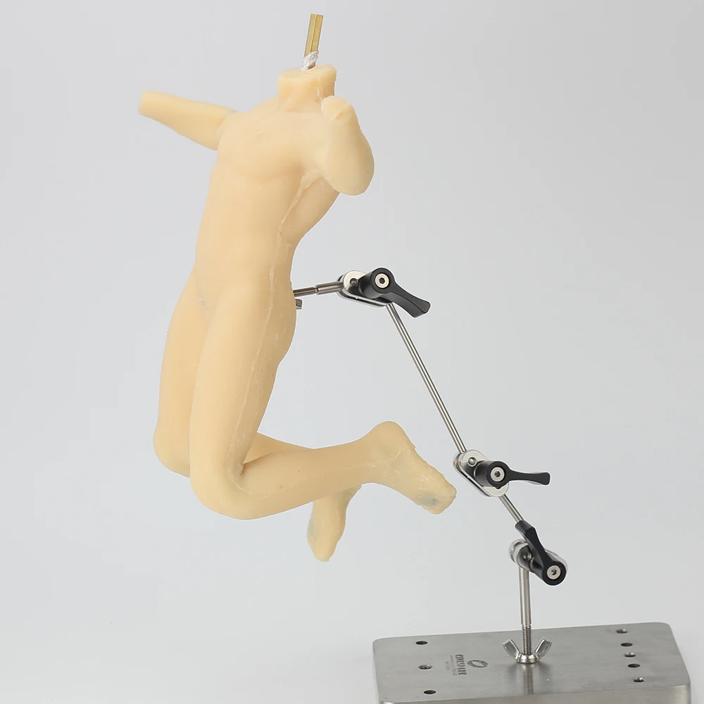 B 24 см силиконовый Мужской Корпус с якорем PRO 3 0 внутри для остановки движения или