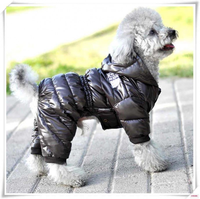 Фото обзорМодный гардероб для собак - одежда для питомцев с Aliexpress